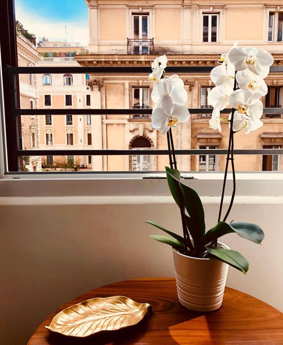 900 Piazza Del Popolo Bed & Breakfast โรม ภายนอก รูปภาพ